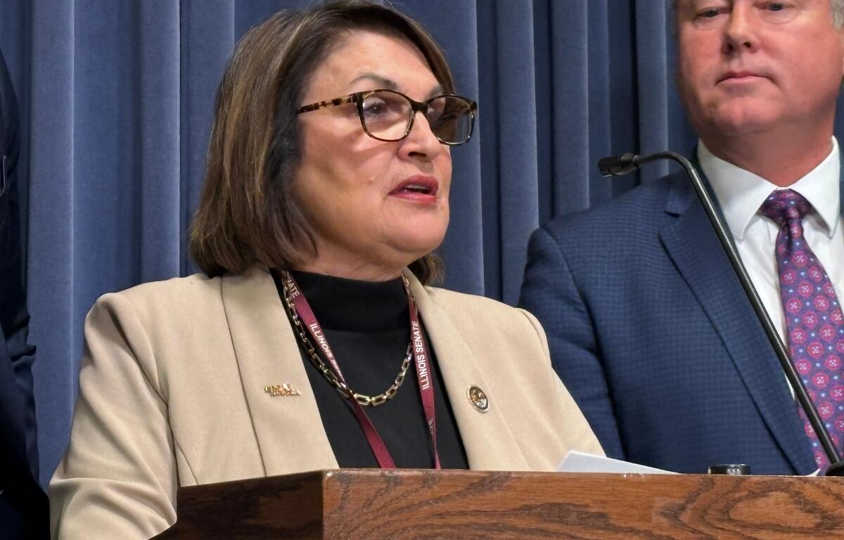 State Rep. Sally Turner (R-Beason) speaks at a State Capitol News Conference.