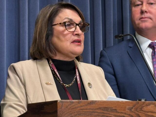 State Rep. Sally Turner (R-Beason) speaks at a State Capitol News Conference.
