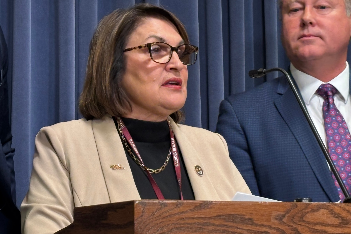 State Rep. Sally Turner (R-Beason) speaks at a State Capitol News Conference.