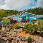 Ripley's Aquarium of the Smokies in Gatlinburg, TN