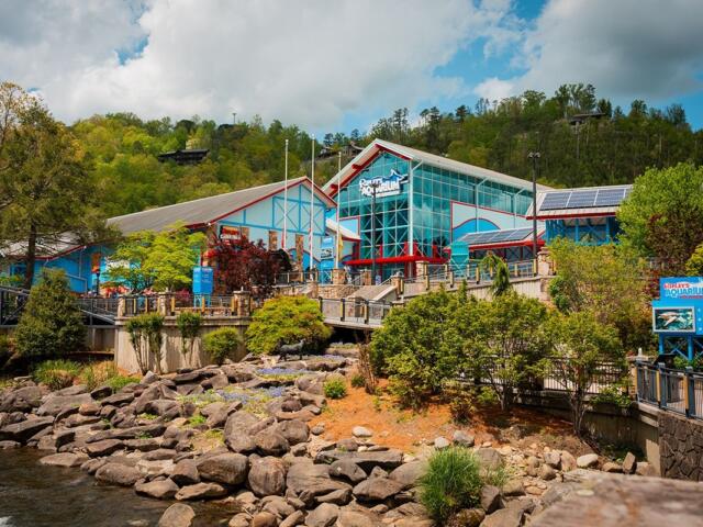 Ripley's Aquarium of the Smokies in Gatlinburg, TN