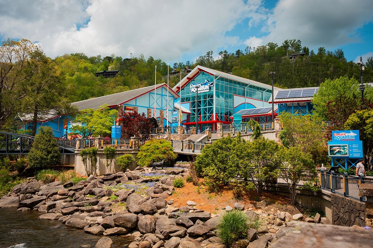 Ripley's Aquarium of the Smokies in Gatlinburg, TN