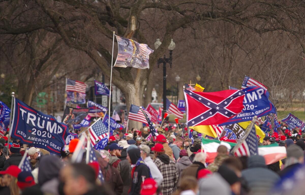 WASHINGTON, DC - January 6, 2021: Supporters of U.S. President Donald Trump gather on the National Mall for the "Stop the Steal" rally.