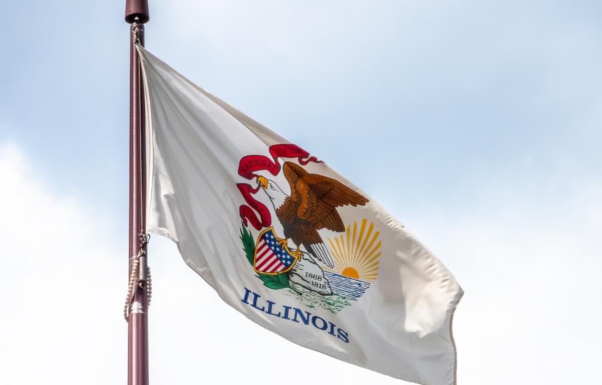 State of Illinois flag