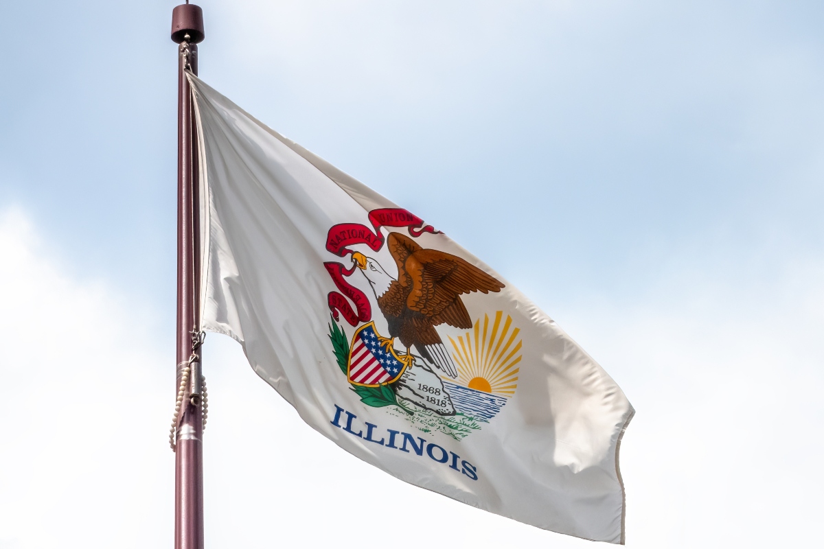 State of Illinois flag