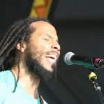 Ziggy Marley will perform at the Illinois State Fair.