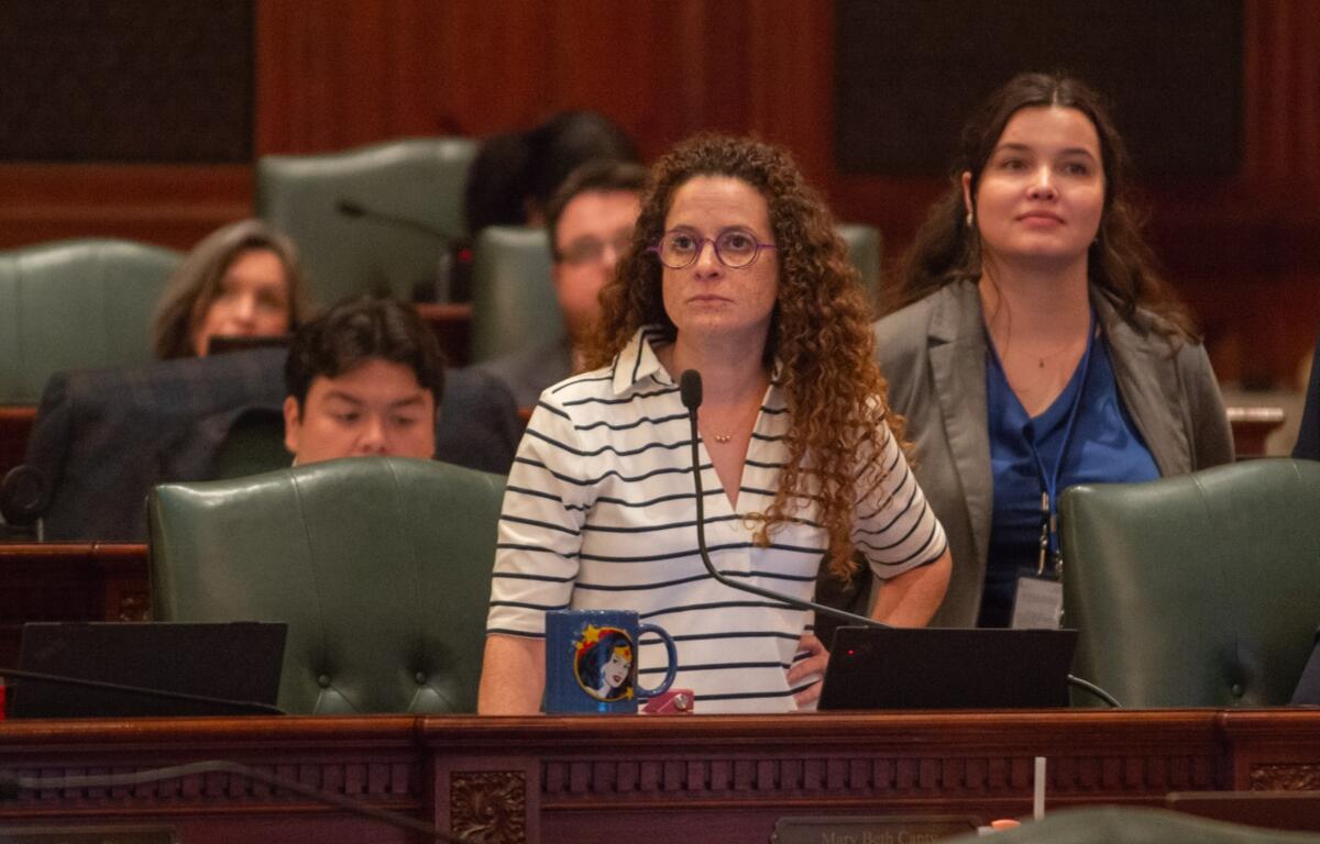 Rep. Mary Beth Canty, D-Arlington Heights, argues for the Reproductive Health Privacy Act, which would protect Illinois abortion patients from out-of-state retaliation, on the floor of the House on Sunday, May 31, 2026. (Capitol News Illinois photo by Jerry Nowicki)