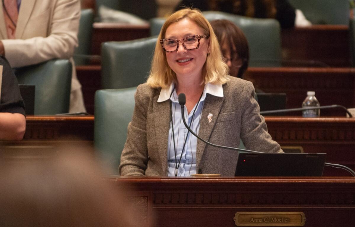 State Rep. Anna Moeller, D-Elgin, speaks on her Medicaid bill on the House floor on May 31, 2026. (Capitol News Illinois photo by Jerry Nowicki)