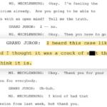 A judge released transcripts of the grand jury proceedings that led to the indictment of the “Broadview Six.” One juror told prosecutors he saw the case as a “crock of s—t.” (Capitol News Illinois illustration; text highlight and enlargement added to court transcript, contents otherwise unaltered)