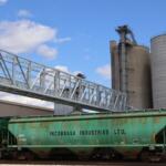 Incobrasa Industries in Gilman, Illinois, is expecting to open its new processing facilities on June 17. (Medill Illinois News Bureau photo by Naomi Taxay)