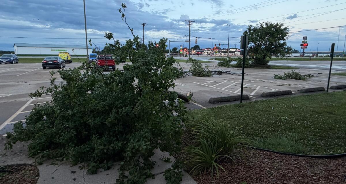 Parts of downed trees litter the parking lot and entrance at Capitol Media Group early Thursday.