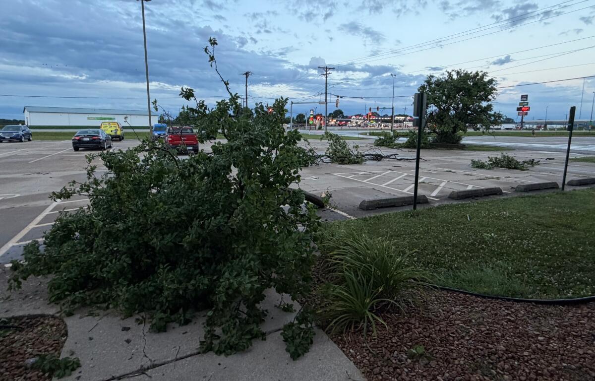 Parts of downed trees litter the parking lot and entrance at Capitol Media Group early Thursday.