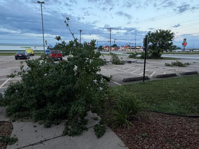 Parts of downed trees litter the parking lot and entrance at Capitol Media Group early Thursday.