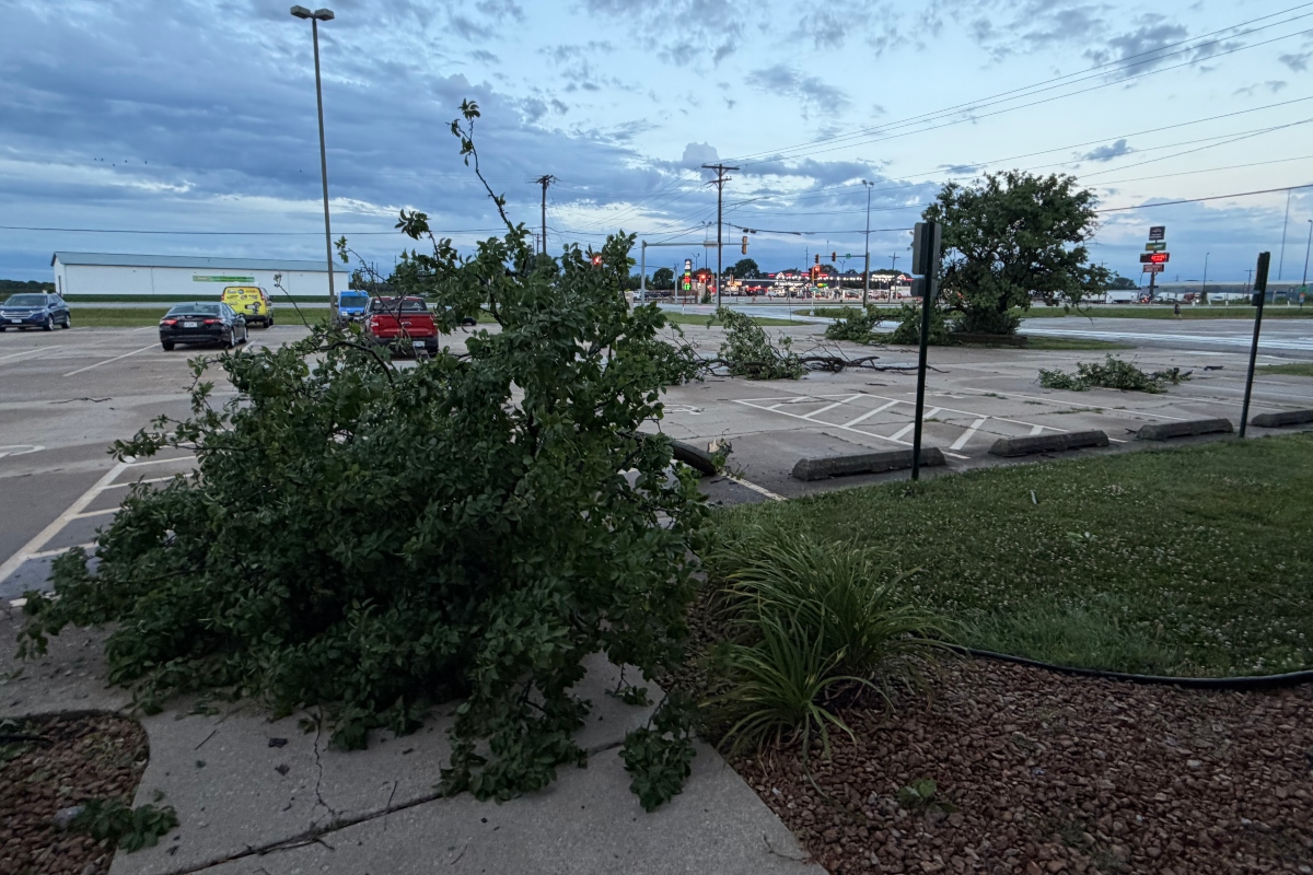 Parts of downed trees litter the parking lot and entrance at Capitol Media Group early Thursday.