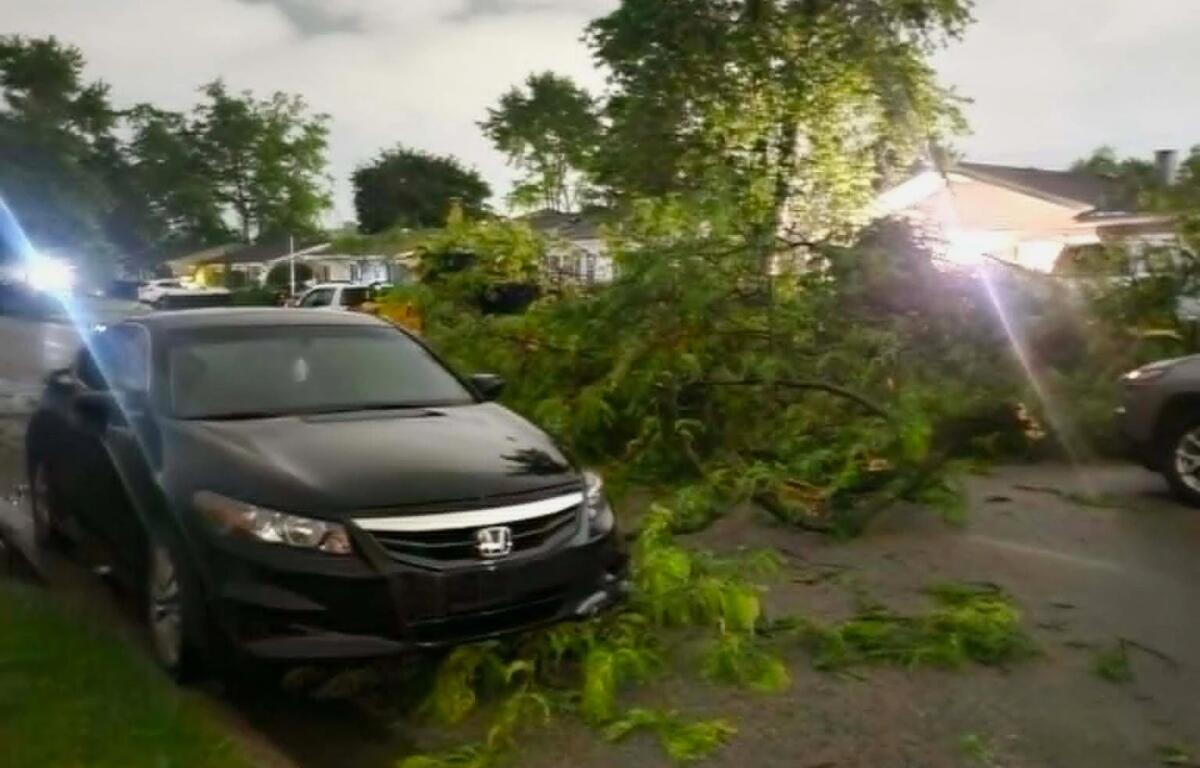 Dark Honda sedan crashed into a fallen tree limb blocking a suburban street after a storm, with branches scattered on the road and sidewalk edges.