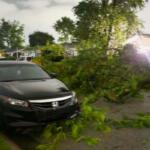 Dark Honda sedan crashed into a fallen tree limb blocking a suburban street after a storm, with branches scattered on the road and sidewalk edges.