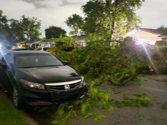 Dark Honda sedan crashed into a fallen tree limb blocking a suburban street after a storm, with branches scattered on the road and sidewalk edges.