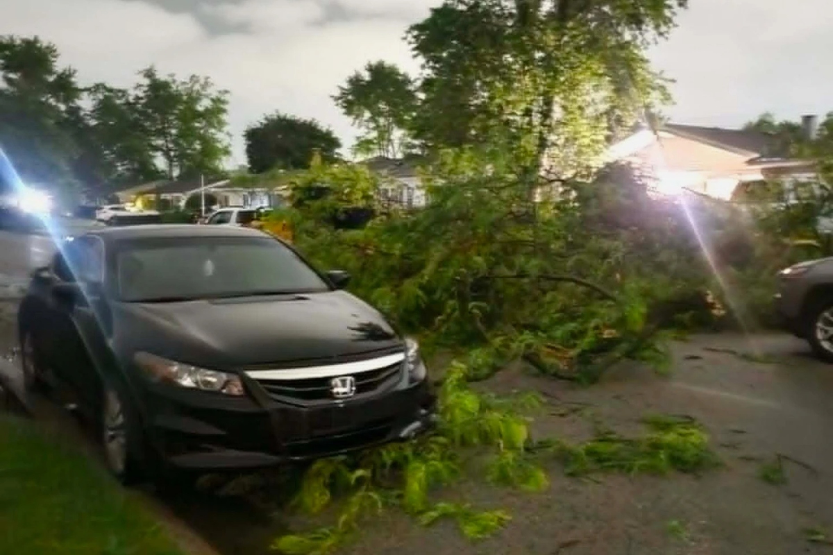 Dark Honda sedan crashed into a fallen tree limb blocking a suburban street after a storm, with branches scattered on the road and sidewalk edges.