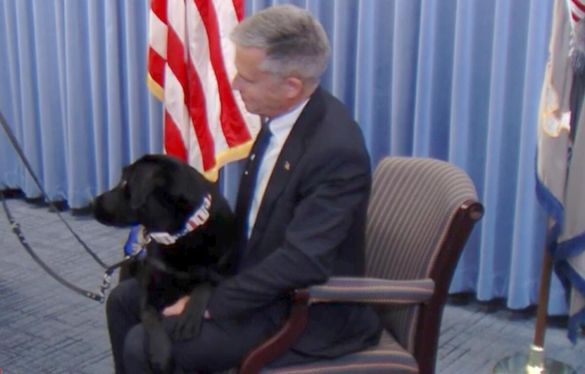 U.S. Attorney Gregory Gilmore holds Maisy, his office's new therapy dog.