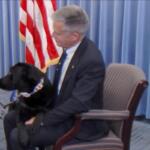 U.S. Attorney Gregory Gilmore holds Maisy, his office's new therapy dog.