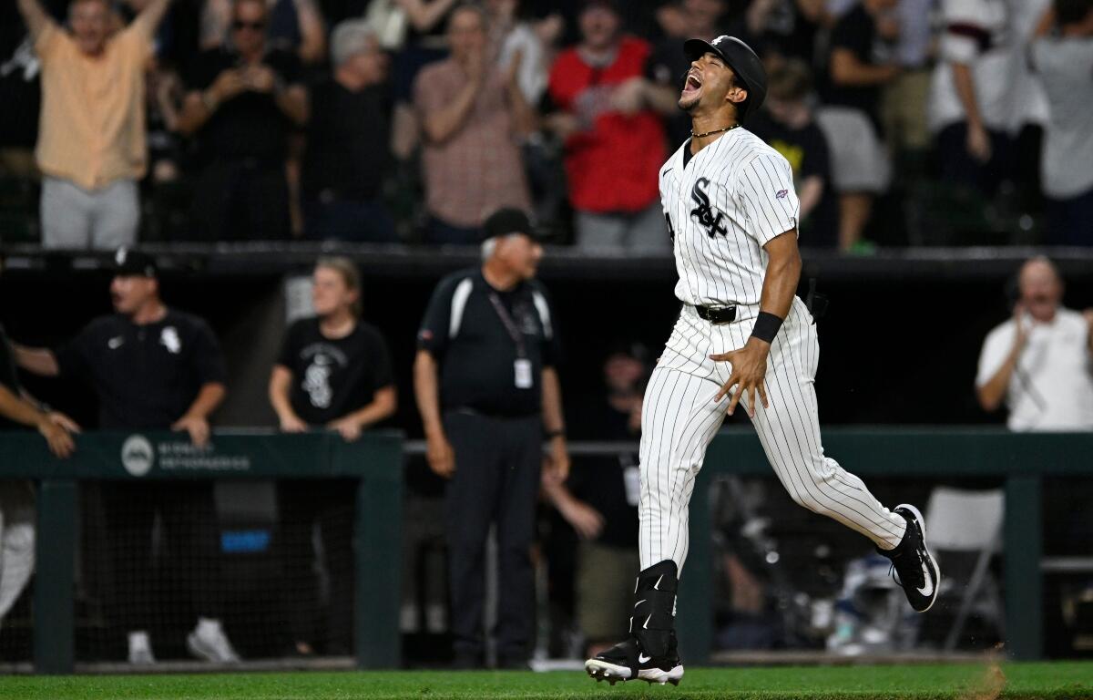 White Sox player in pinstripes celebrates on the field, jumping with arms outstretched as fans cheer in the background.