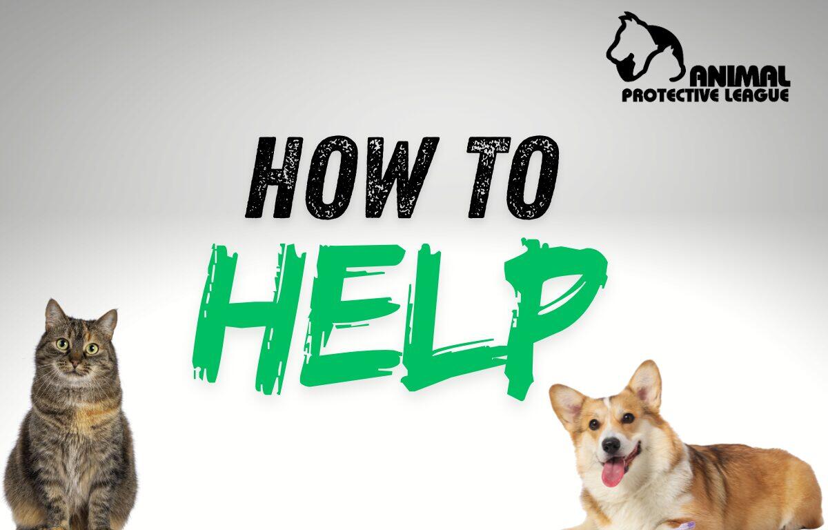 How to Help the APL