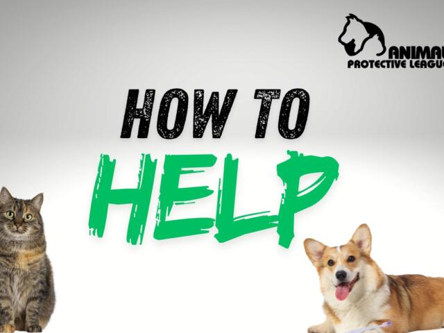 How to Help the APL