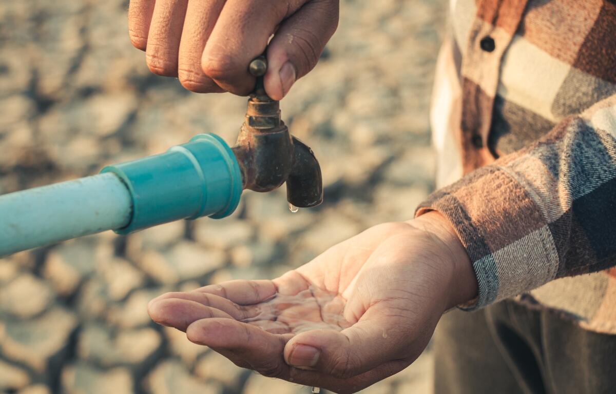 Hand for drinking water to live through drought, Concept drought and crisis environment.