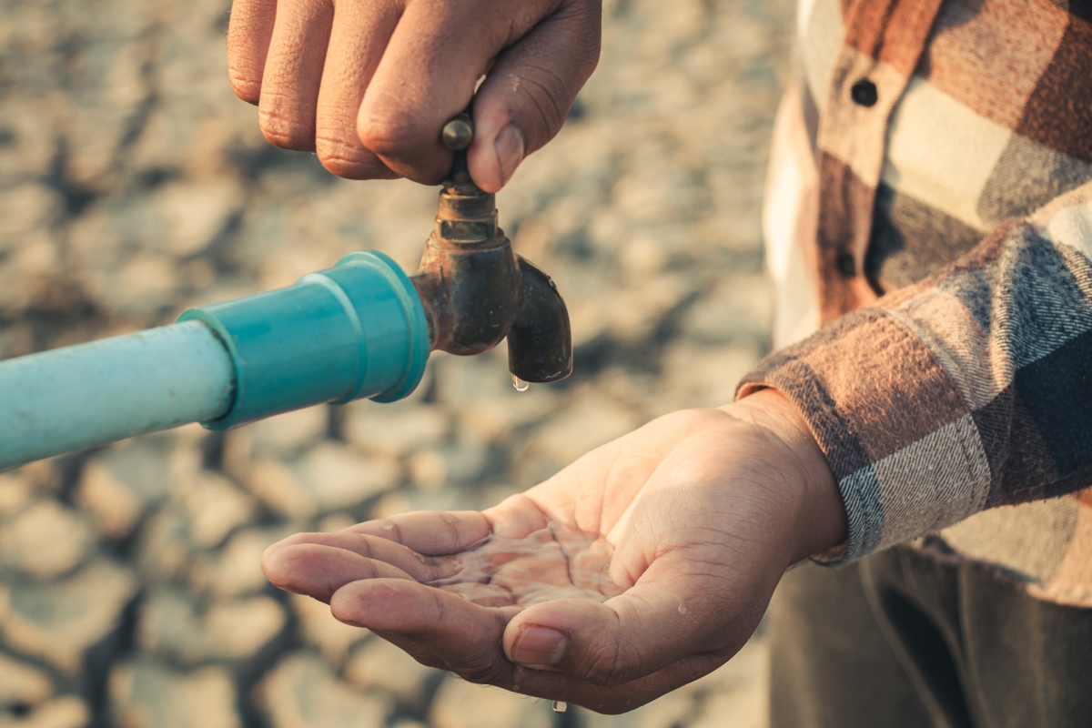 Hand for drinking water to live through drought, Concept drought and crisis environment.
