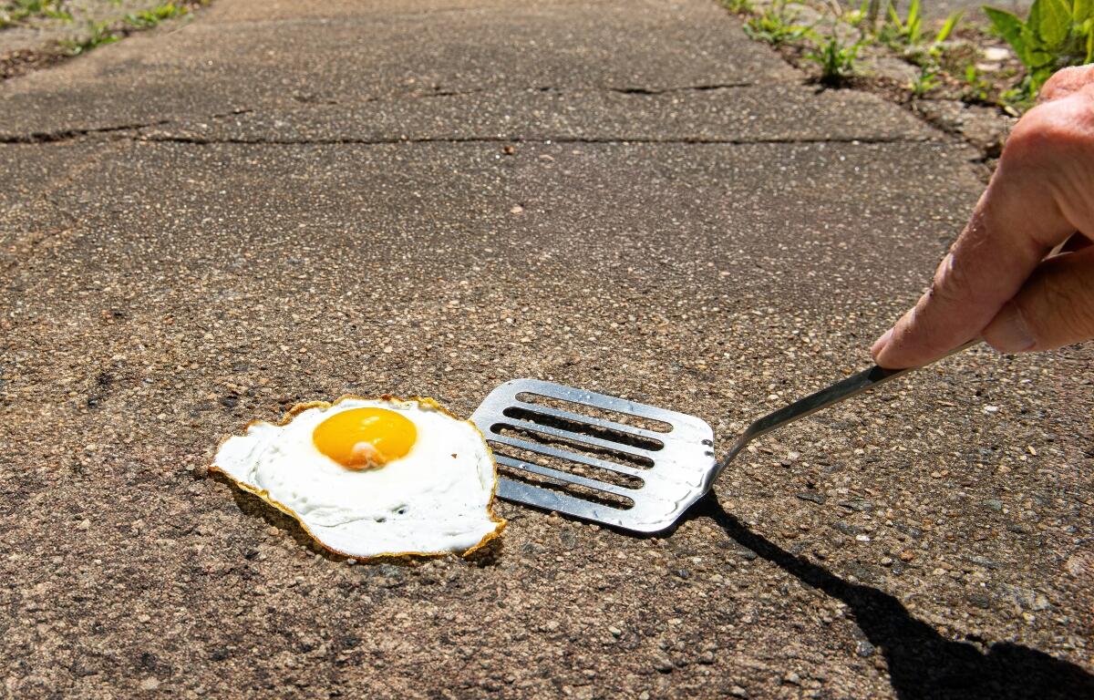 "It's so hot you could fry and egg on the sidewalk"