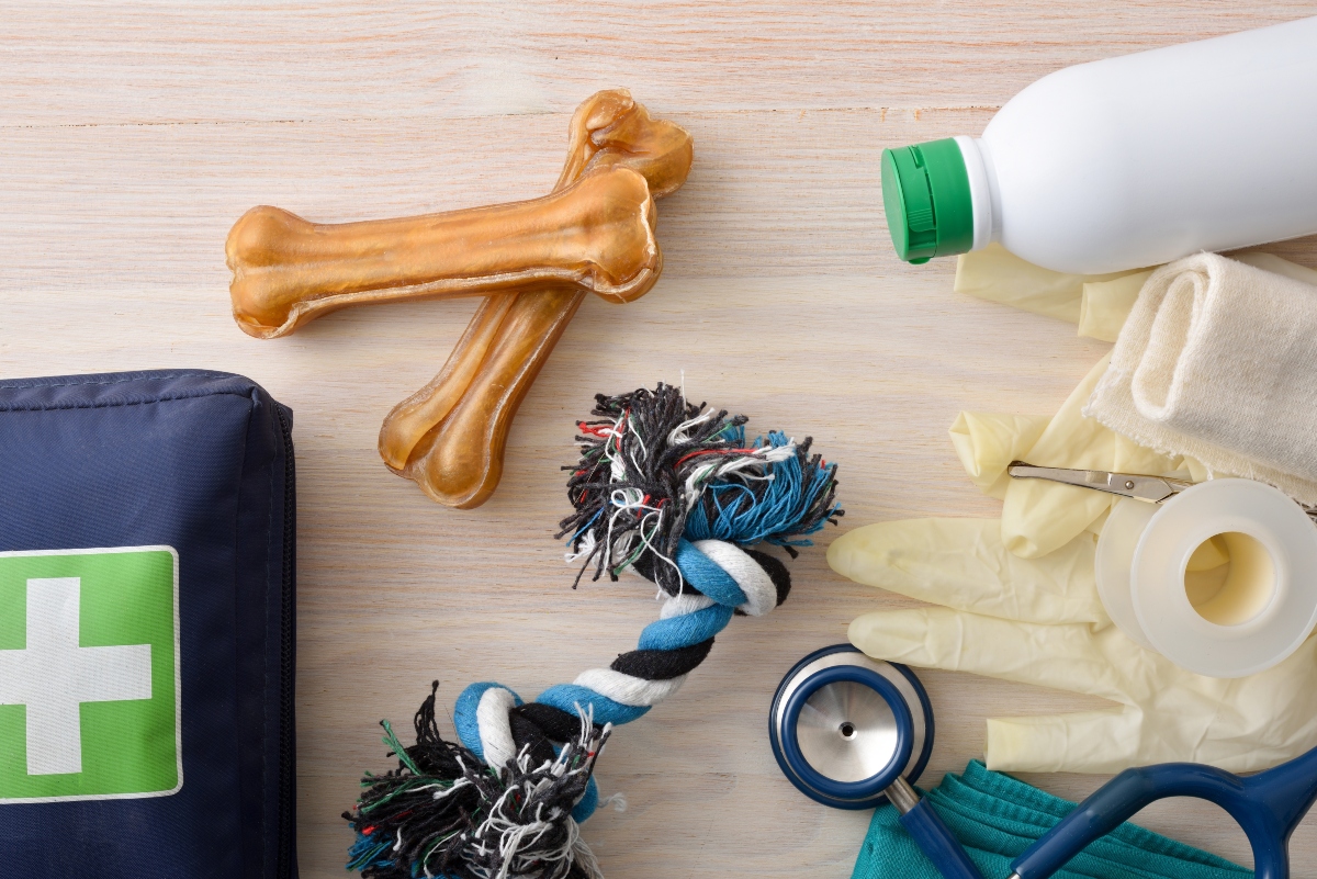 Emergency supplies for your pet.