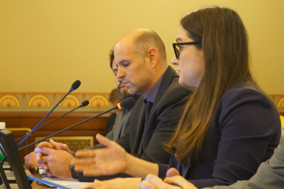 Panel of professionals speaking into microphones during a formal meeting or conference, with a woman in the foreground gesturing as she talks.