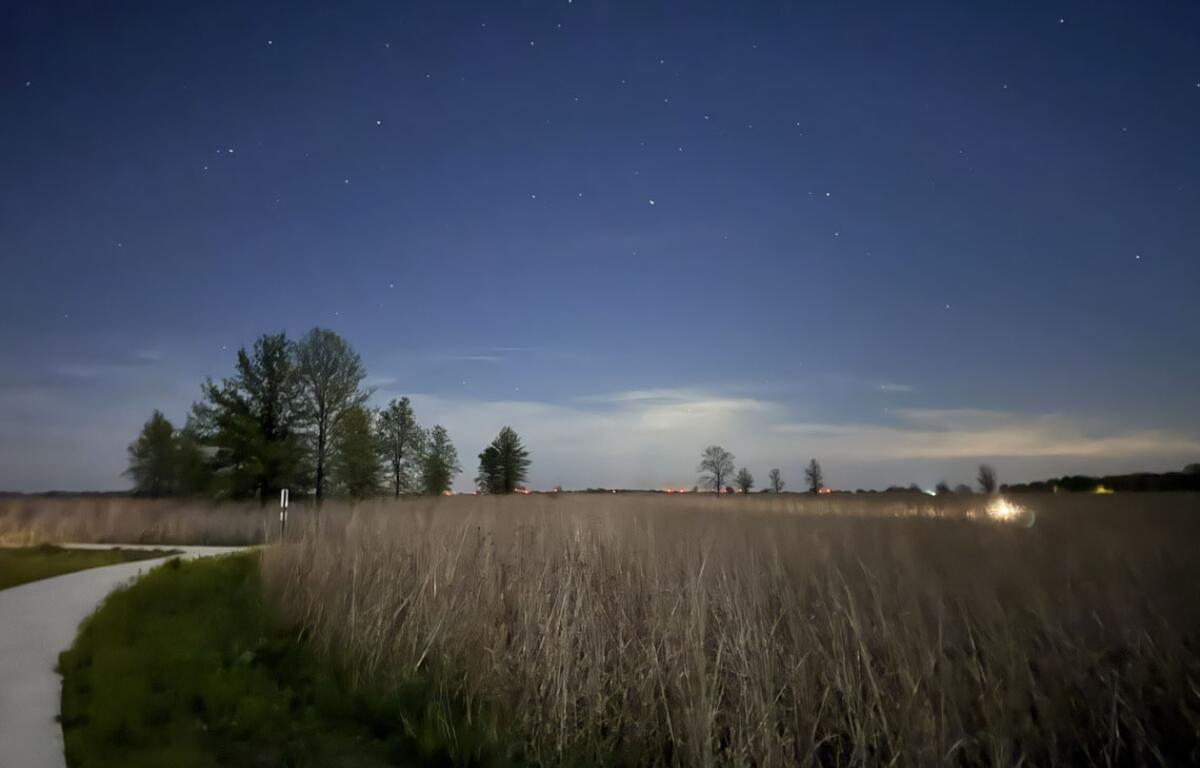 Not long after sunset, visitors will find thousands of stars popping out of the heavens in the Galaxy Loop of the Dark Forest Trail in the Middle Park Forest Preserve. (Medill Illinois News Bureau photo by Julia Levy)