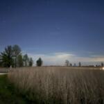 Not long after sunset, visitors will find thousands of stars popping out of the heavens in the Galaxy Loop of the Dark Forest Trail in the Middle Park Forest Preserve. (Medill Illinois News Bureau photo by Julia Levy)