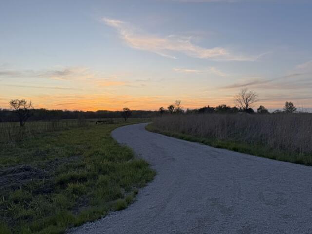 A winding road at sunset into a field of tall grasses will soon be greeted with the light of thousands of stars. (Medill Illinois News Bureau photo by Julia Levy)