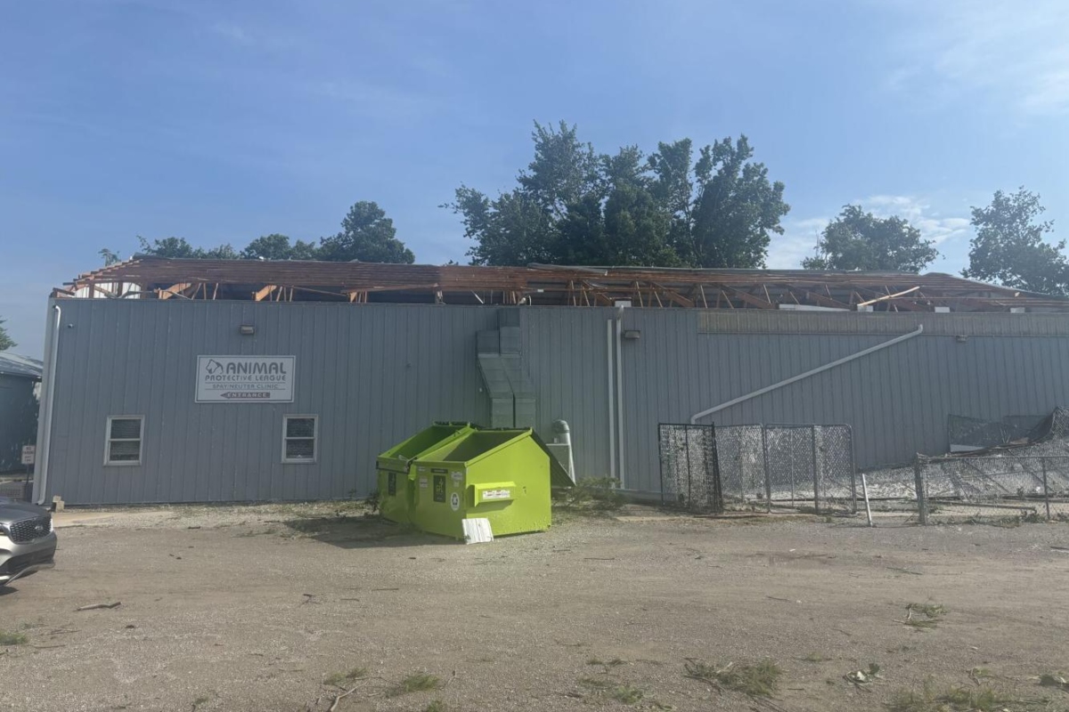 The roof remains off the Animal Protective League building in Springfield, six weeks after a tornado did extensive damage.