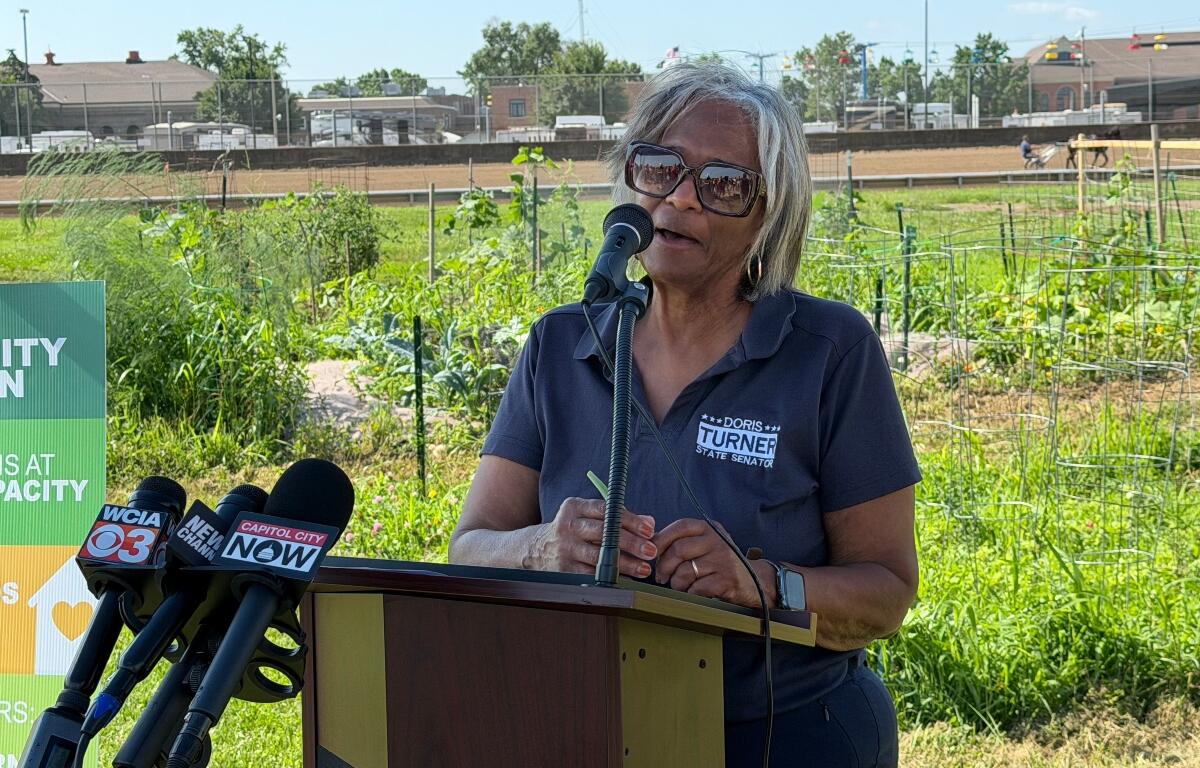 State Senator Doris Turner (D-Springfield) speaks during a July 1, 2026 press conference at the Illinois State Fairgrounds.