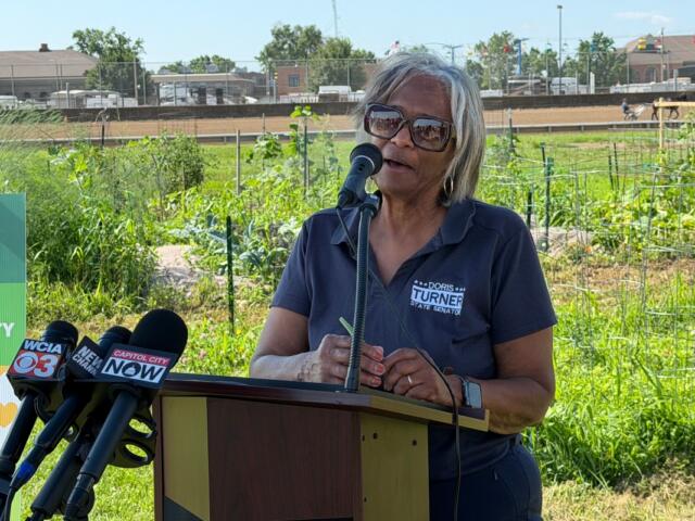 State Senator Doris Turner (D-Springfield) speaks during a July 1, 2026 press conference at the Illinois State Fairgrounds.