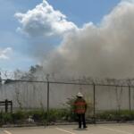 A Springfield firefighter stands watch at a fire at Mervis Recycling, 1100 S. 9th, Springfield.