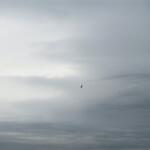 Overcast sky with layered, pale clouds and several small birds flying in the distance.