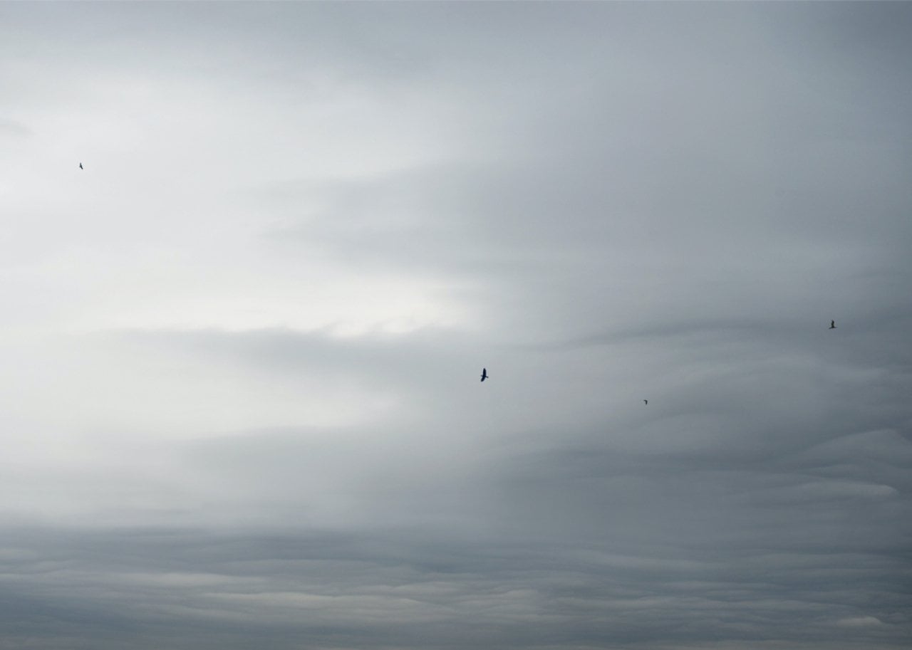 Overcast sky with layered, pale clouds and several small birds flying in the distance.
