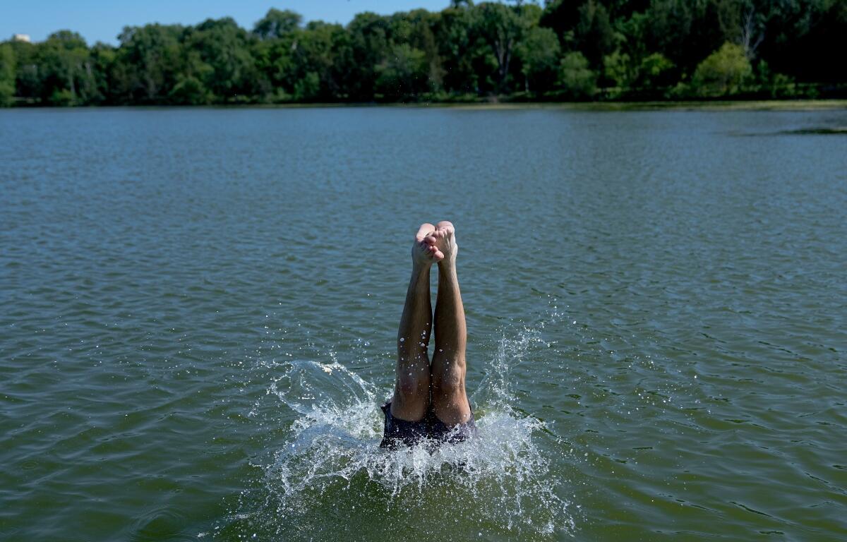 A swimmer dives into Cedar Lake during an extreme heat warning Monday, July 13, 2026, in Minneapolis. (AP Photo/Ellen Schmidt)