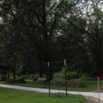 Storm damage at Lincoln Homestead State Park and Memorial.