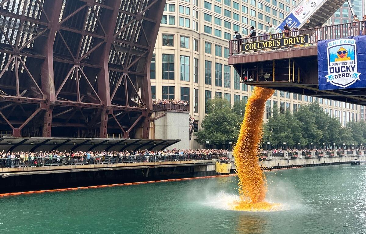 More than 90 thousand rubber ducks are dropped into the Chicago River as part of the annual Chicago Duck Derby for Special Olympics Illinois in Chicago, Thursday, Aug. 6, 2026. (AP Photo/Cybele Mayes-Osterman)