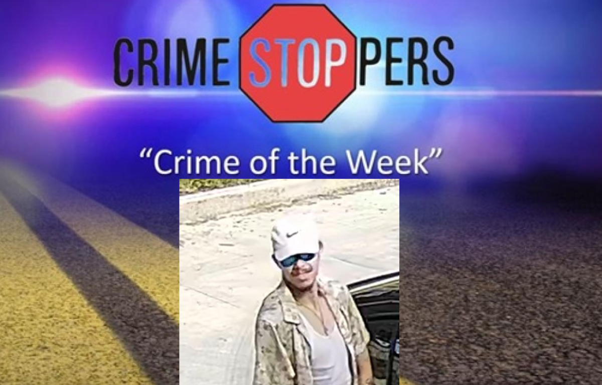 This man allegedly cut a line on a utility pole. Can you identify him?