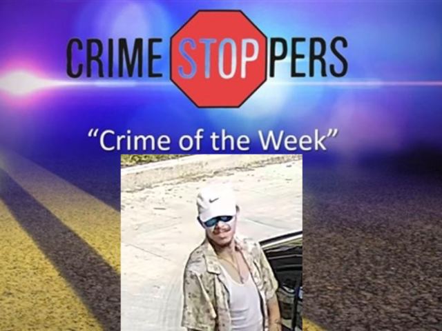 This man allegedly cut a line on a utility pole. Can you identify him?