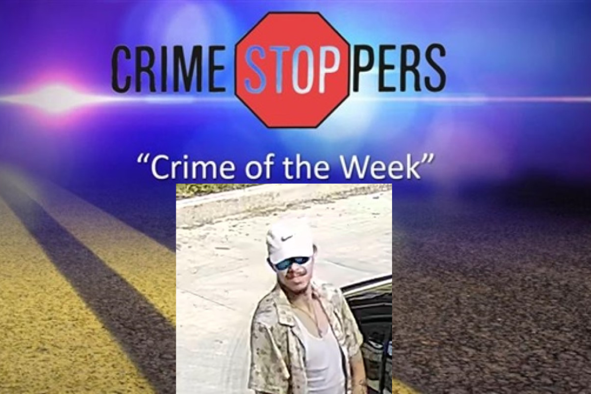 This man allegedly cut a line on a utility pole. Can you identify him?
