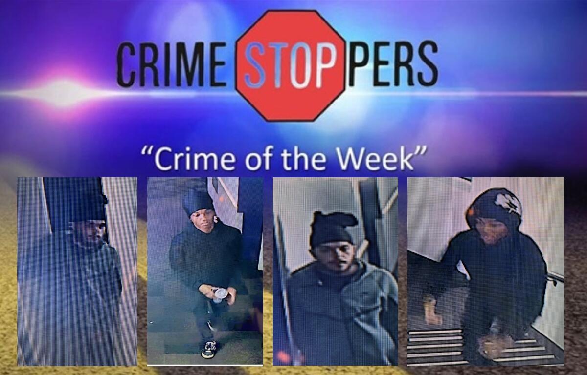 Two suspects are wanted for a car theft from July, 2025.