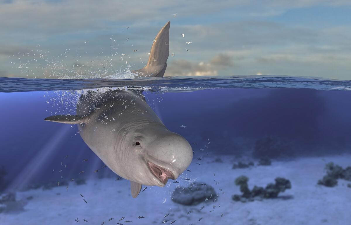 Horizontal view of beluga whale diving and jumping while half is underwater deep ocean 3d rendering
