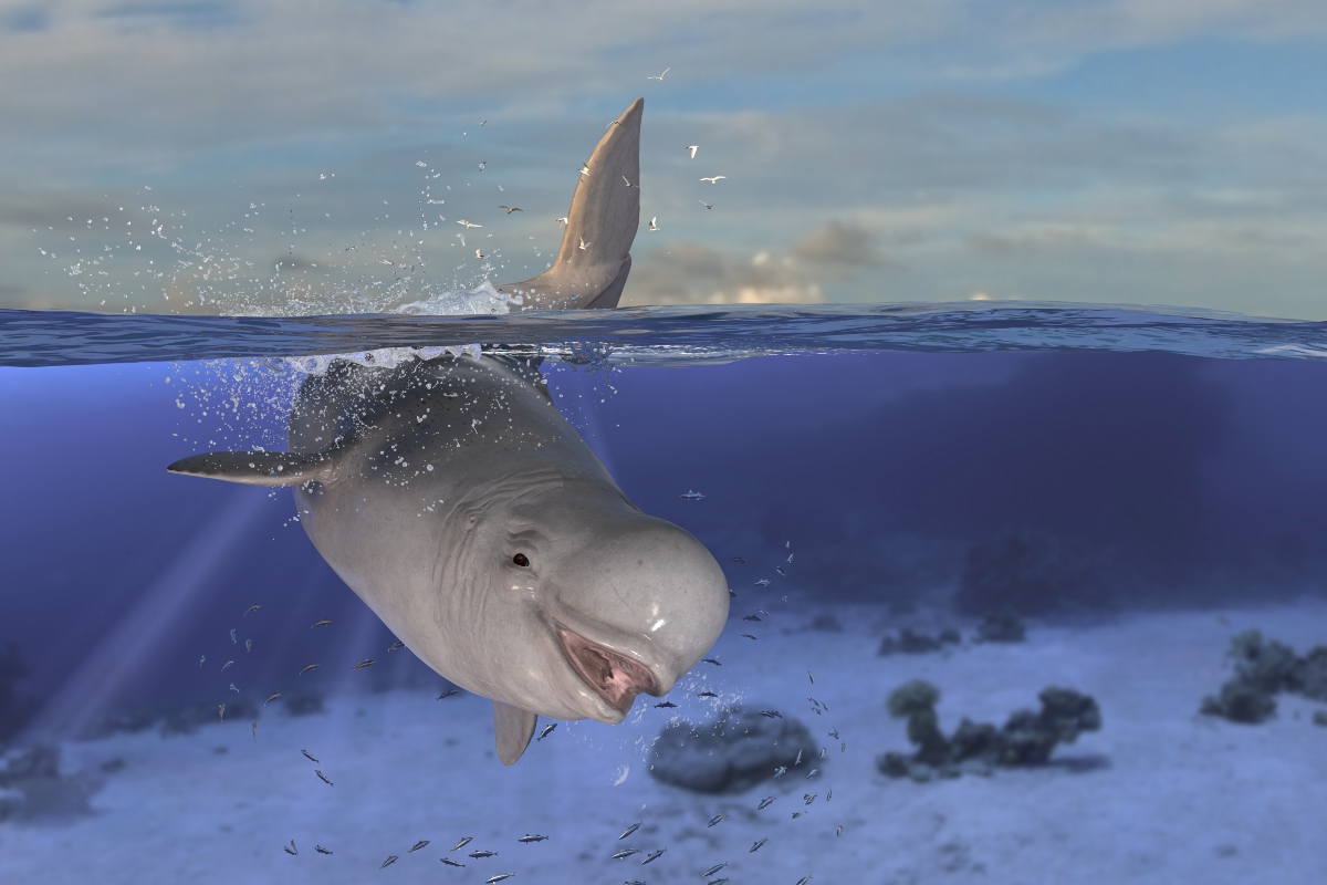 Horizontal view of beluga whale diving and jumping while half is underwater deep ocean 3d rendering